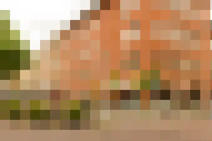 Bestevâerstraat 174 2 Amsterdam thumbnail 22