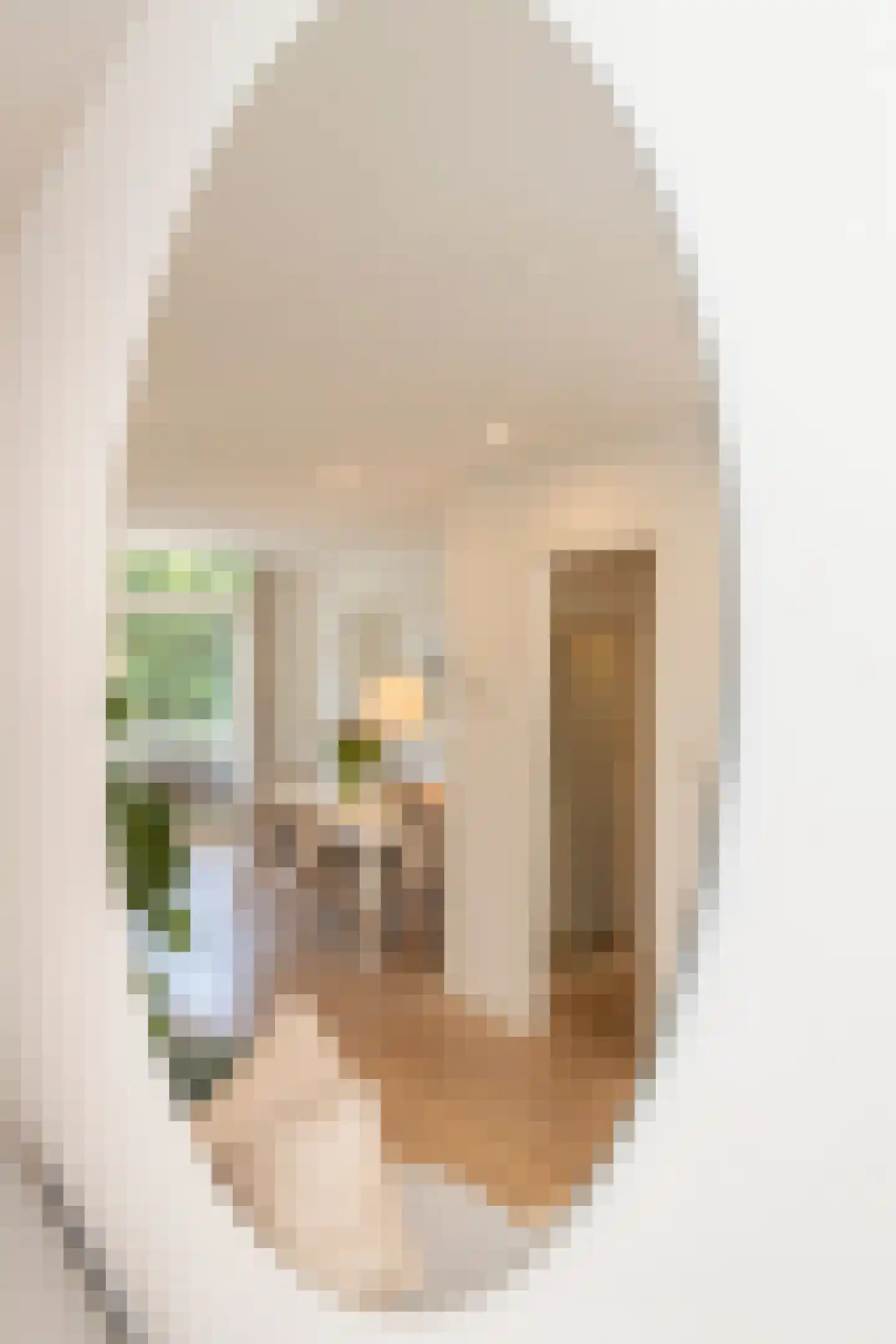 Bestevâerstraat 176 2 Amsterdam thumbnail 13