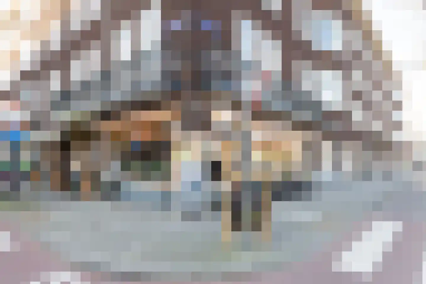 Bestevâerstraat 176 2 Amsterdam thumbnail 32