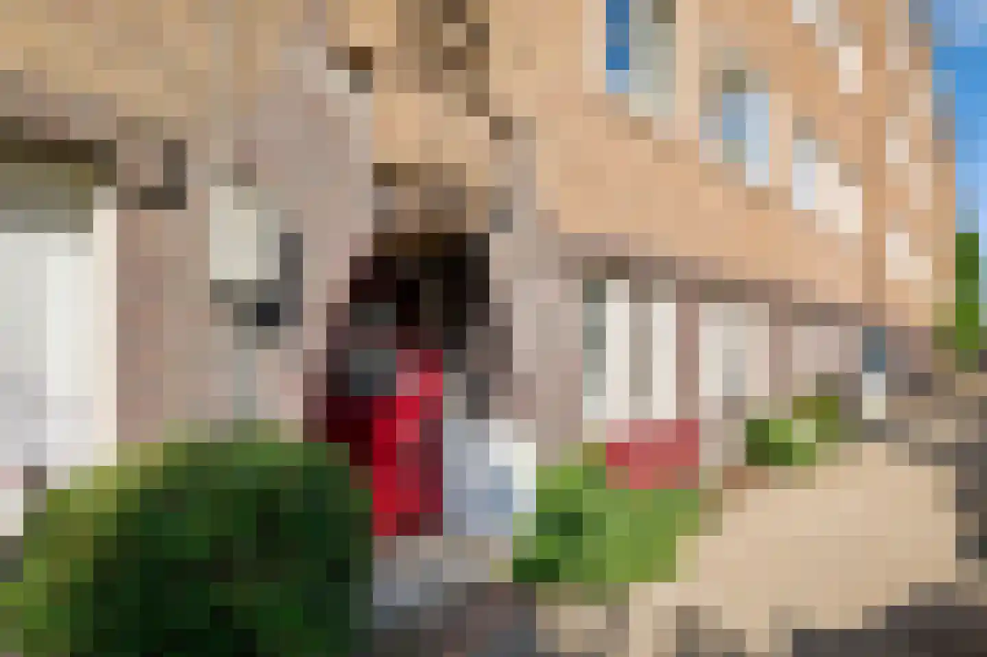 Bestevâerstraat 177 H Amsterdam thumbnail 29