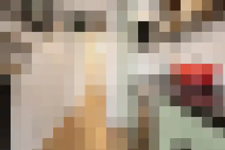 Bestevâerstraat 181 2 Amsterdam thumbnail 13