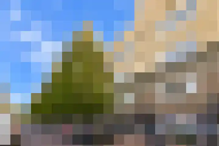 Bestevâerstraat 184 3 Amsterdam thumbnail 4