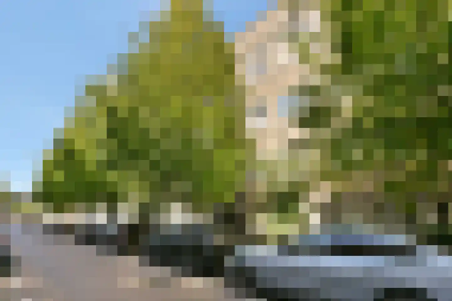 Bestevâerstraat 194 1 Amsterdam thumbnail 16