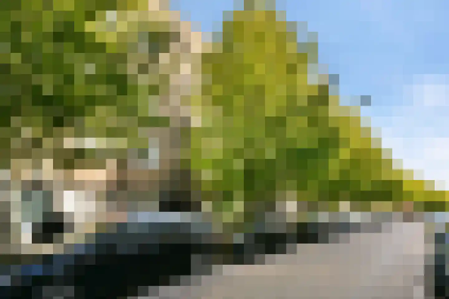 Bestevâerstraat 194 1 Amsterdam thumbnail 17