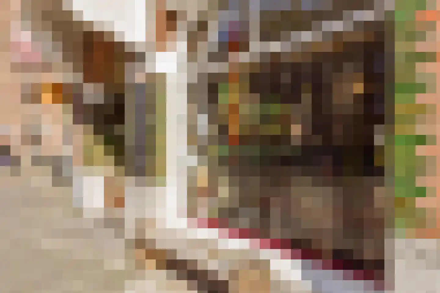 Bestevâerstraat 194 1 Amsterdam thumbnail 19