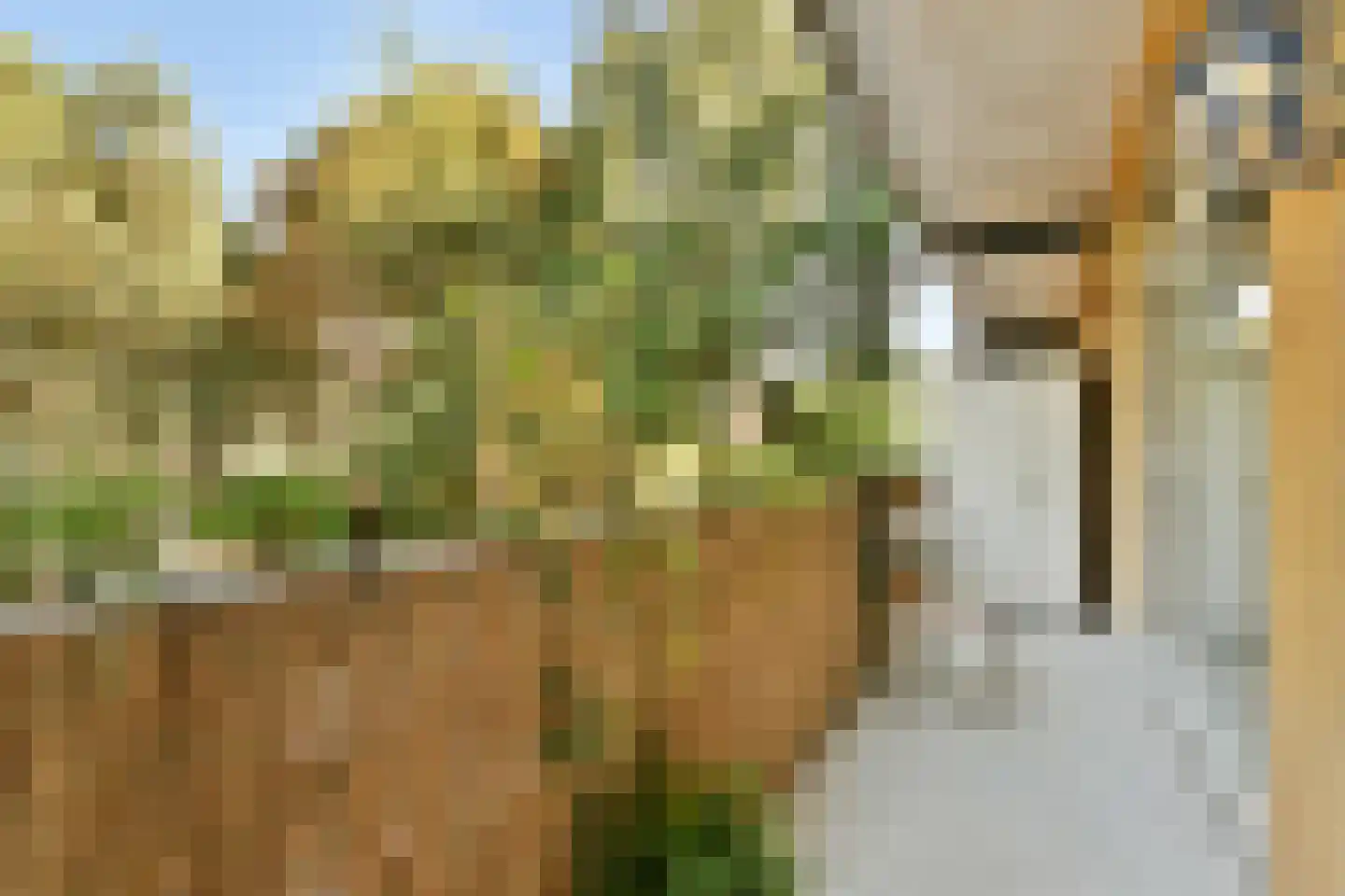 Bestevâerstraat 194 1 Amsterdam thumbnail 4