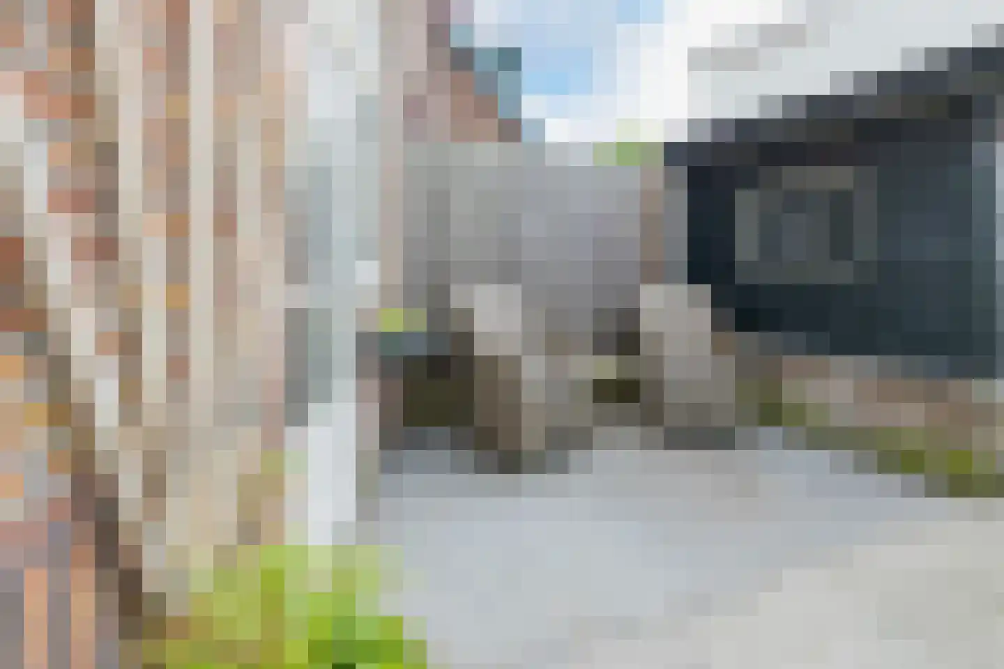 Bestevaerstraat 2 IJmuiden thumbnail 19