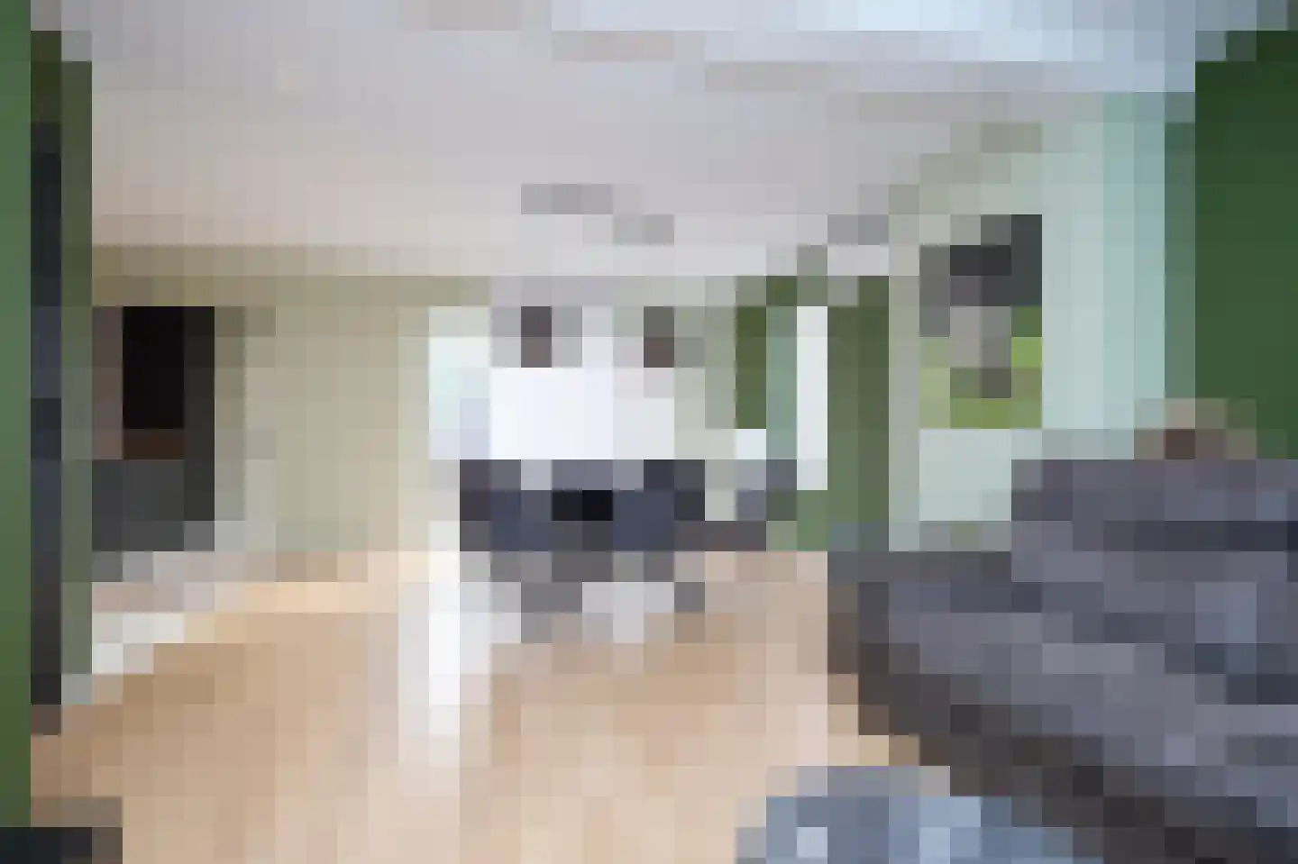 Bestevaerstraat 2 Oostburg thumbnail 8