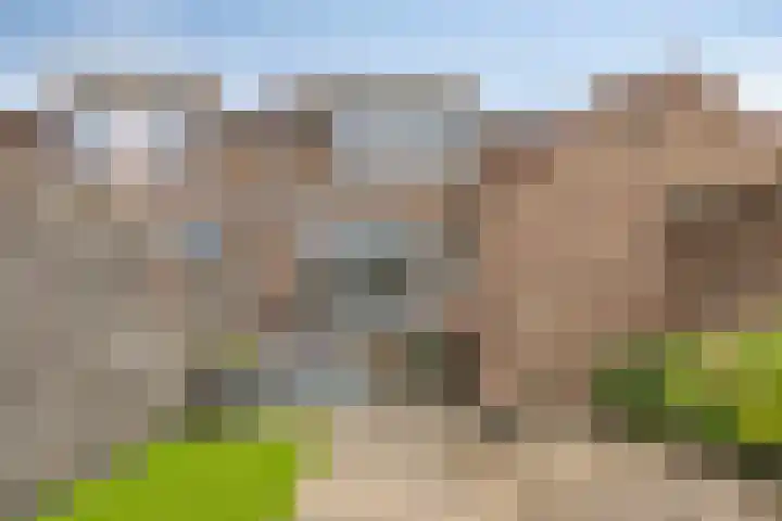 Bestevaerstraat 20 Assendelft thumbnail 10