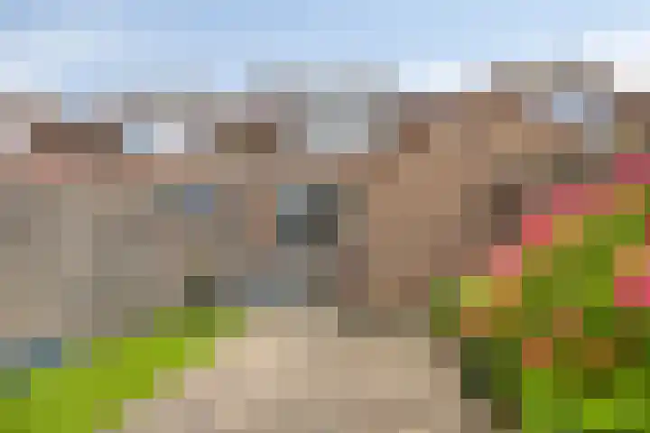 Bestevaerstraat 20 Assendelft thumbnail 11