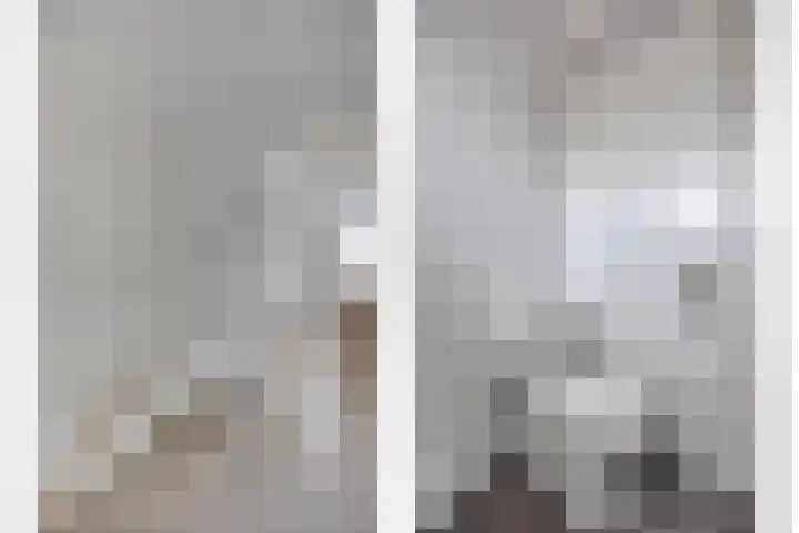 Bestevaerstraat 20 Assendelft thumbnail 13