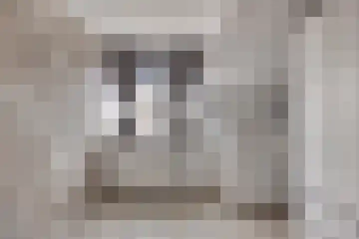 Bestevaerstraat 20 Assendelft thumbnail 18