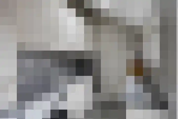 Bestevaerstraat 20 Assendelft thumbnail 7