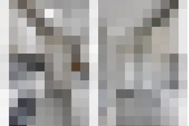 Bestevaerstraat 20 Assendelft thumbnail 8