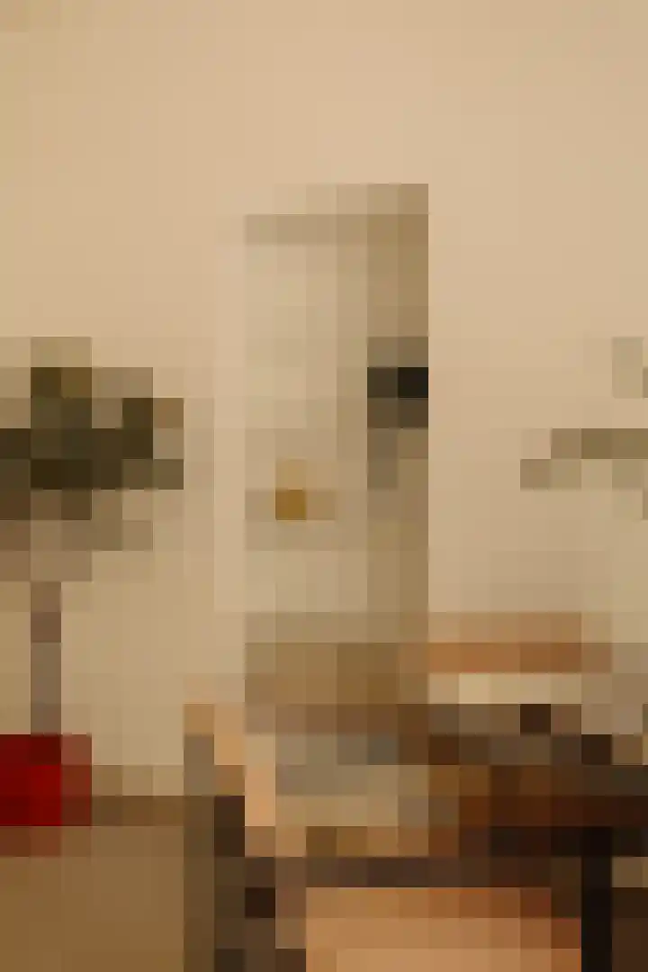 Bestevâerstraat 200 Amsterdam thumbnail 13