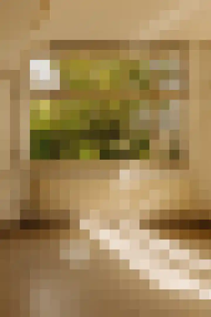 Bestevâerstraat 200 Amsterdam thumbnail 9