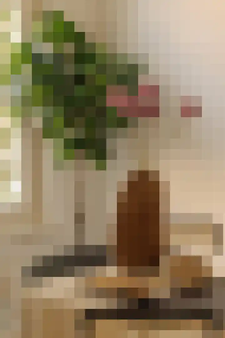 Bestevâerstraat 202 1 Amsterdam thumbnail 8