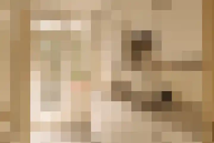 Bestevâerstraat 202 1 Amsterdam thumbnail 9