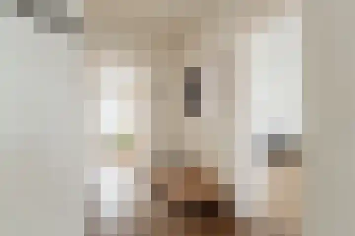 Bestevâerstraat 22 3 Amsterdam thumbnail 15