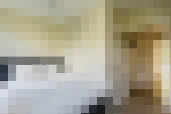 Bestevâerstraat 22 3 Amsterdam thumbnail 18