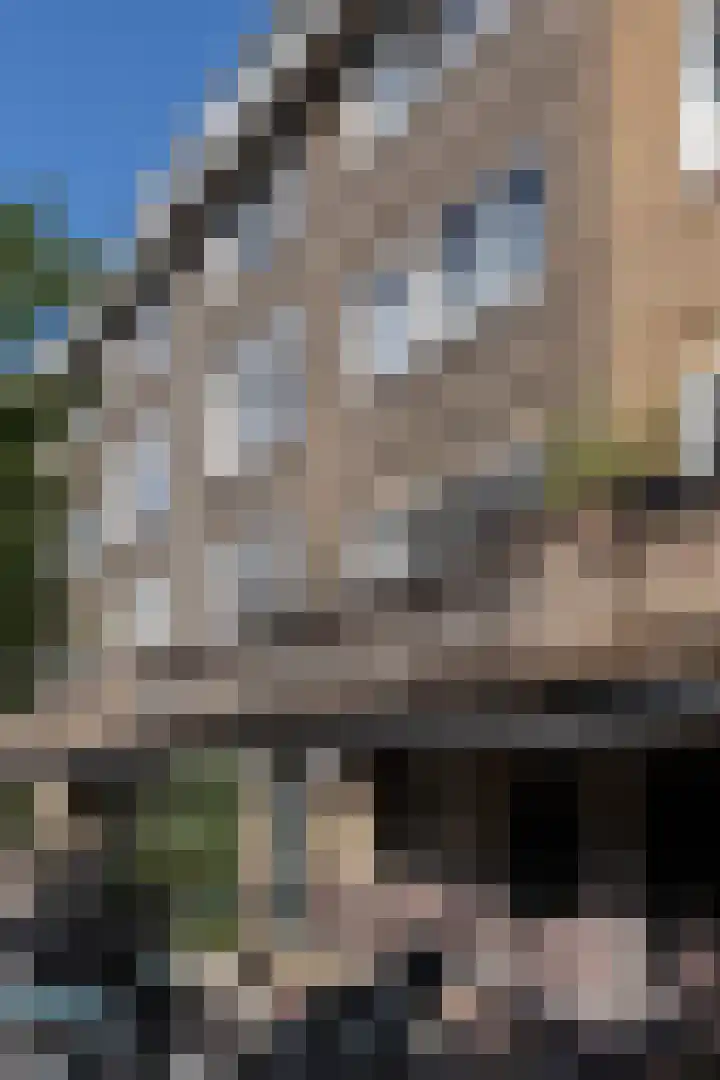 Bestevâerstraat 22 3 Amsterdam thumbnail 21