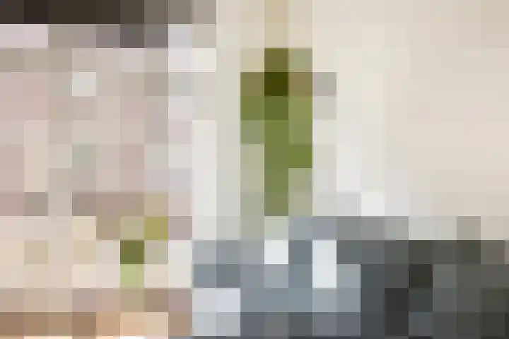 Bestevâerstraat 22 3 Amsterdam thumbnail 7
