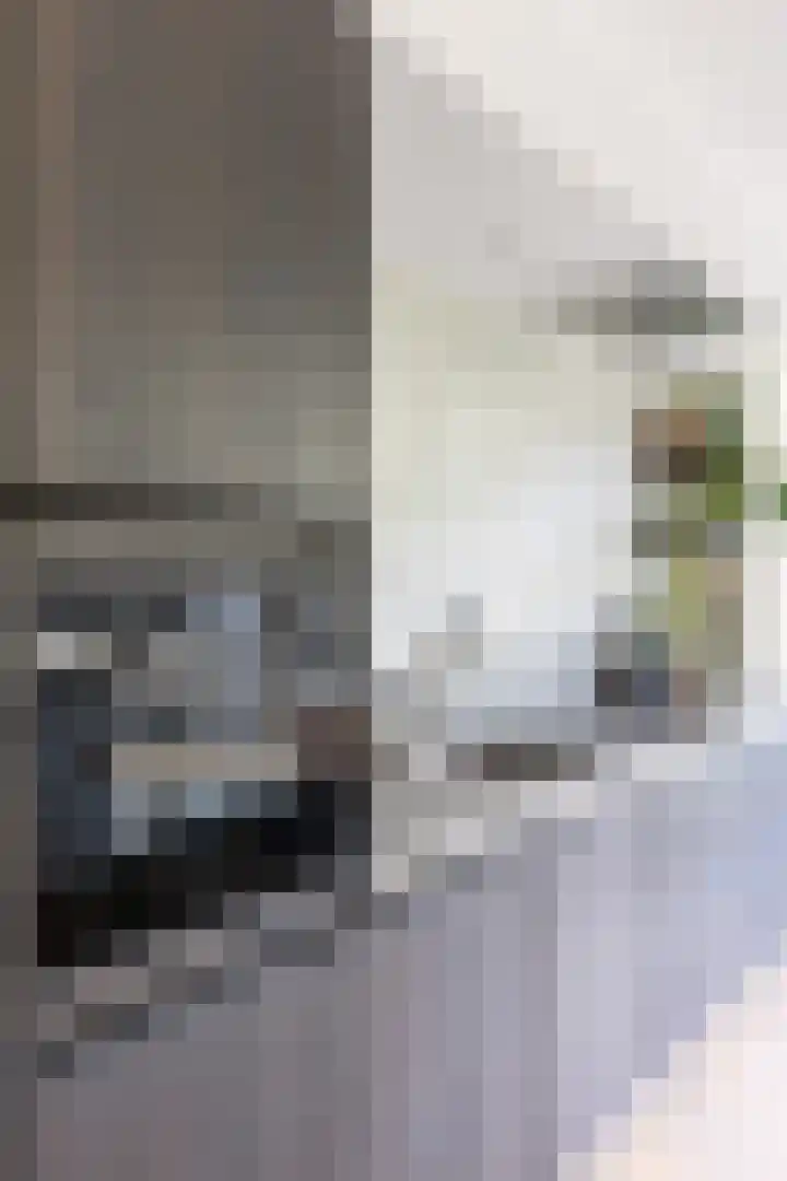 Bestevâerstraat 22 3 Amsterdam thumbnail 8