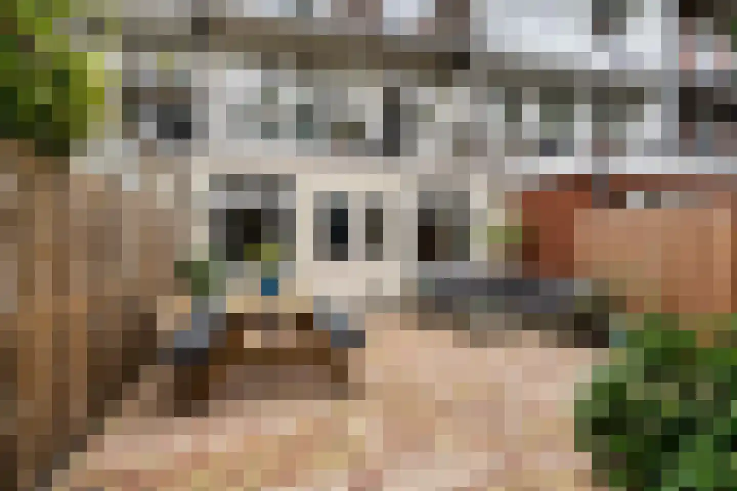 Bestevâerstraat 227 H Amsterdam thumbnail 5