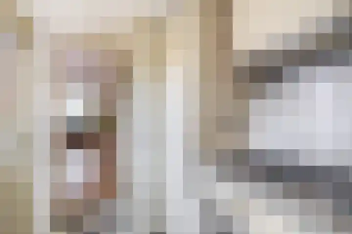 Bestevaerstraat 24 Assendelft thumbnail 13