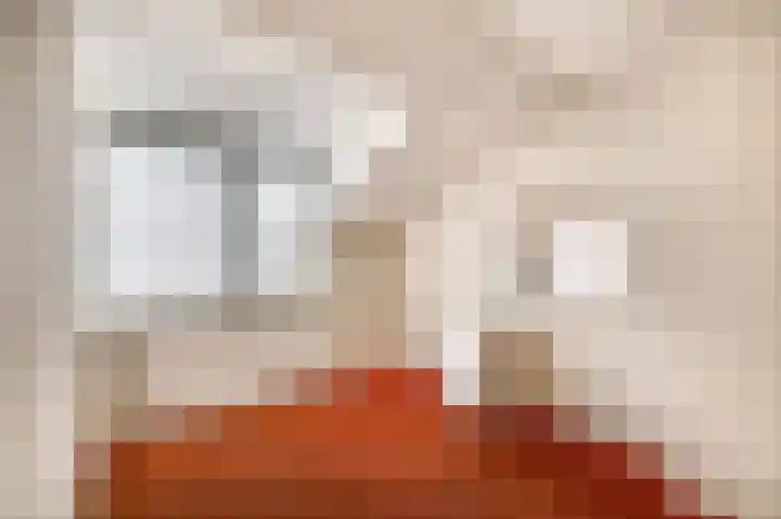 Bestevaerstraat 24 Assendelft thumbnail 17