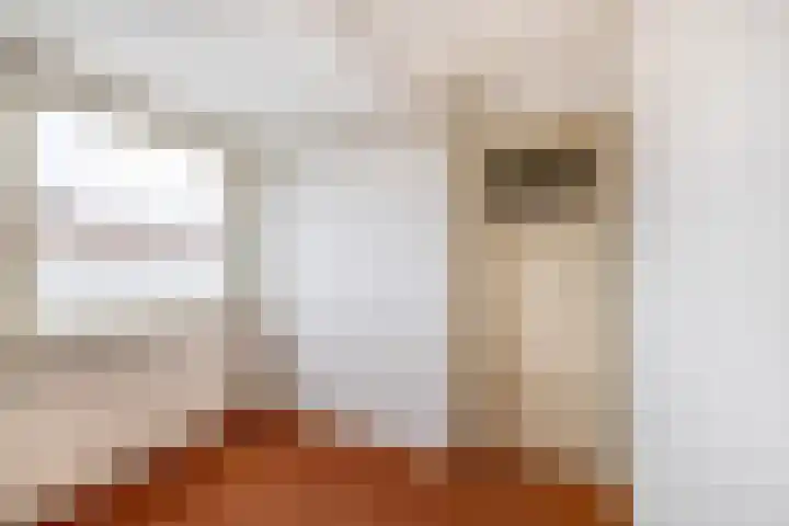 Bestevaerstraat 24 Assendelft thumbnail 21