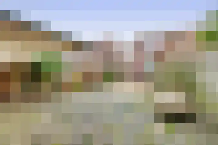 Bestevaerstraat 24 Assendelft thumbnail 26