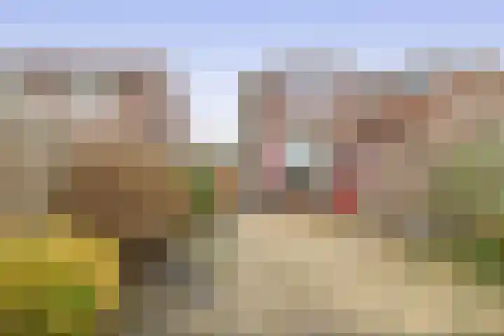 Bestevaerstraat 24 Assendelft thumbnail 27