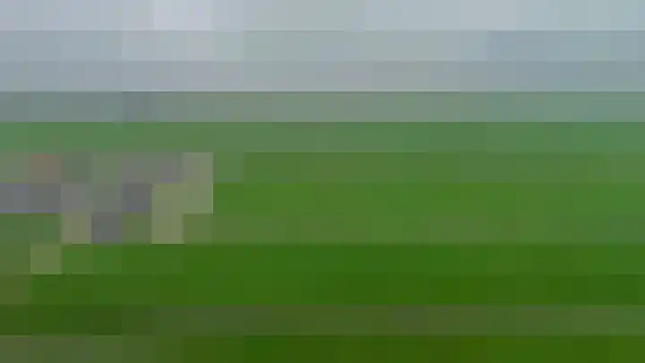 Bestevaerstraat 24 Assendelft thumbnail 31
