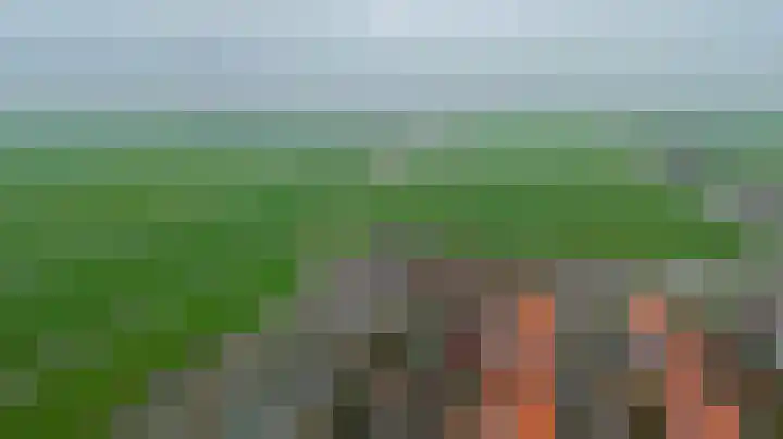 Bestevaerstraat 24 Assendelft thumbnail 32