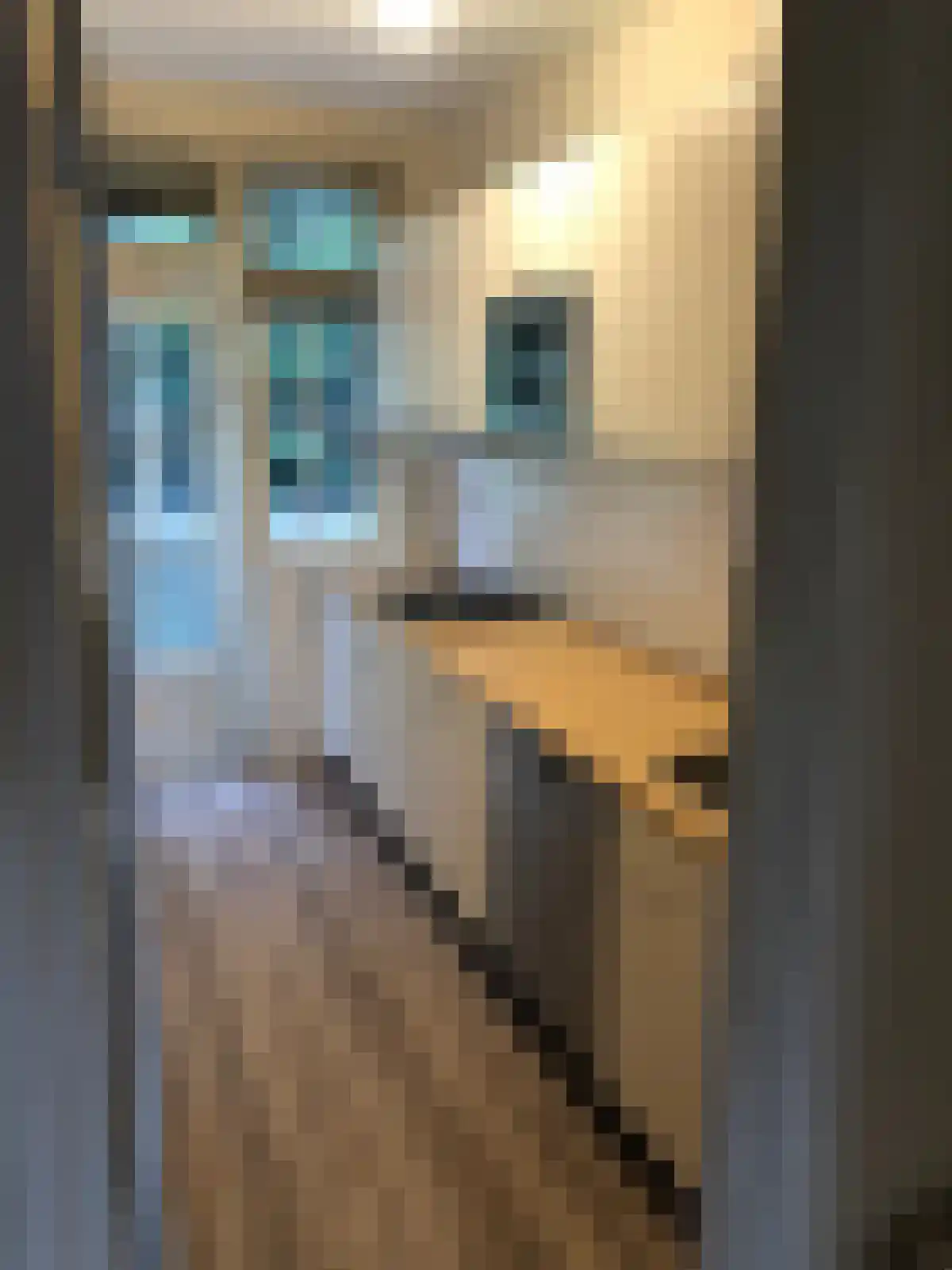 Bestevâerstraat 247 Amsterdam thumbnail 6
