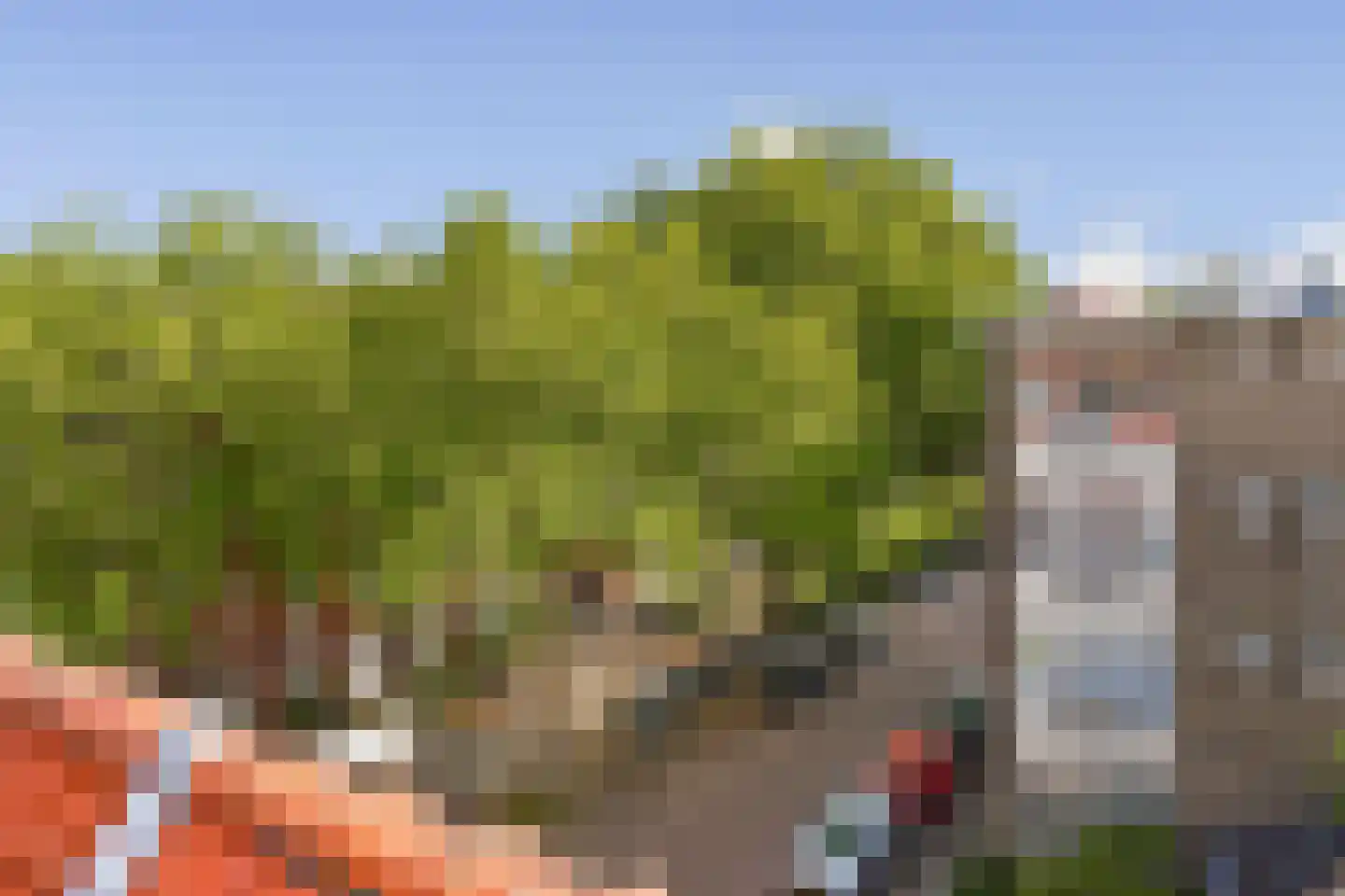 Bestevâerstraat 259 1 Amsterdam thumbnail 22
