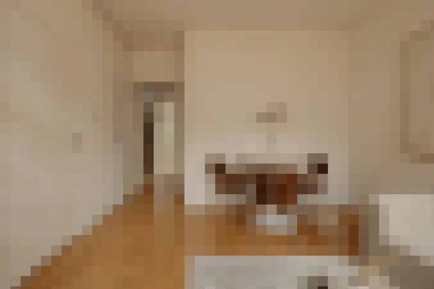 Bestevâerstraat 259 1 Amsterdam thumbnail 5