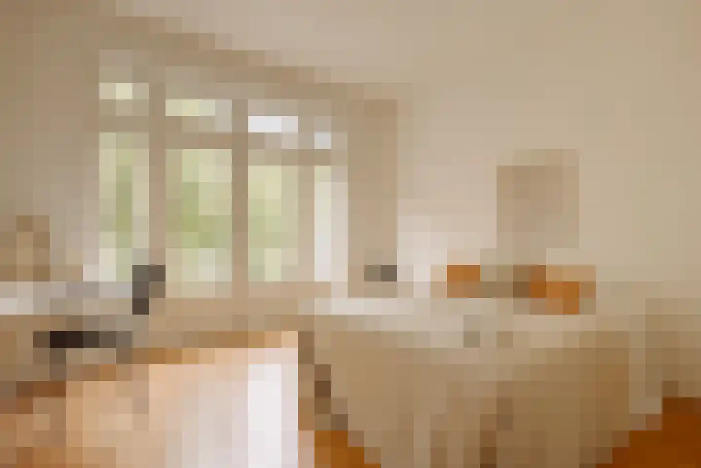 Bestevâerstraat 259 3 Amsterdam thumbnail 8