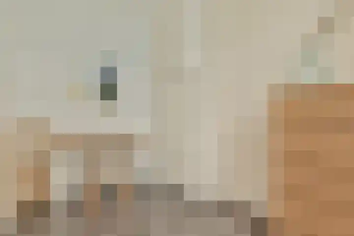 Bestevâerstraat 29 3 Amsterdam thumbnail 22