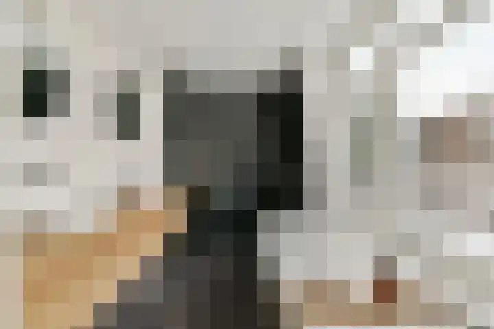 Bestevâerstraat 3 2 Amsterdam thumbnail 21