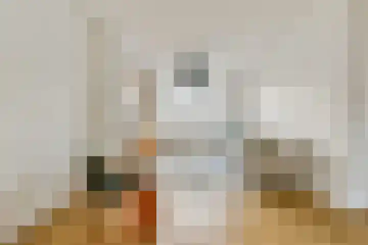 Bestevâerstraat 3 2 Amsterdam thumbnail 5