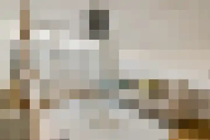 Bestevâerstraat 3 2 Amsterdam thumbnail 6