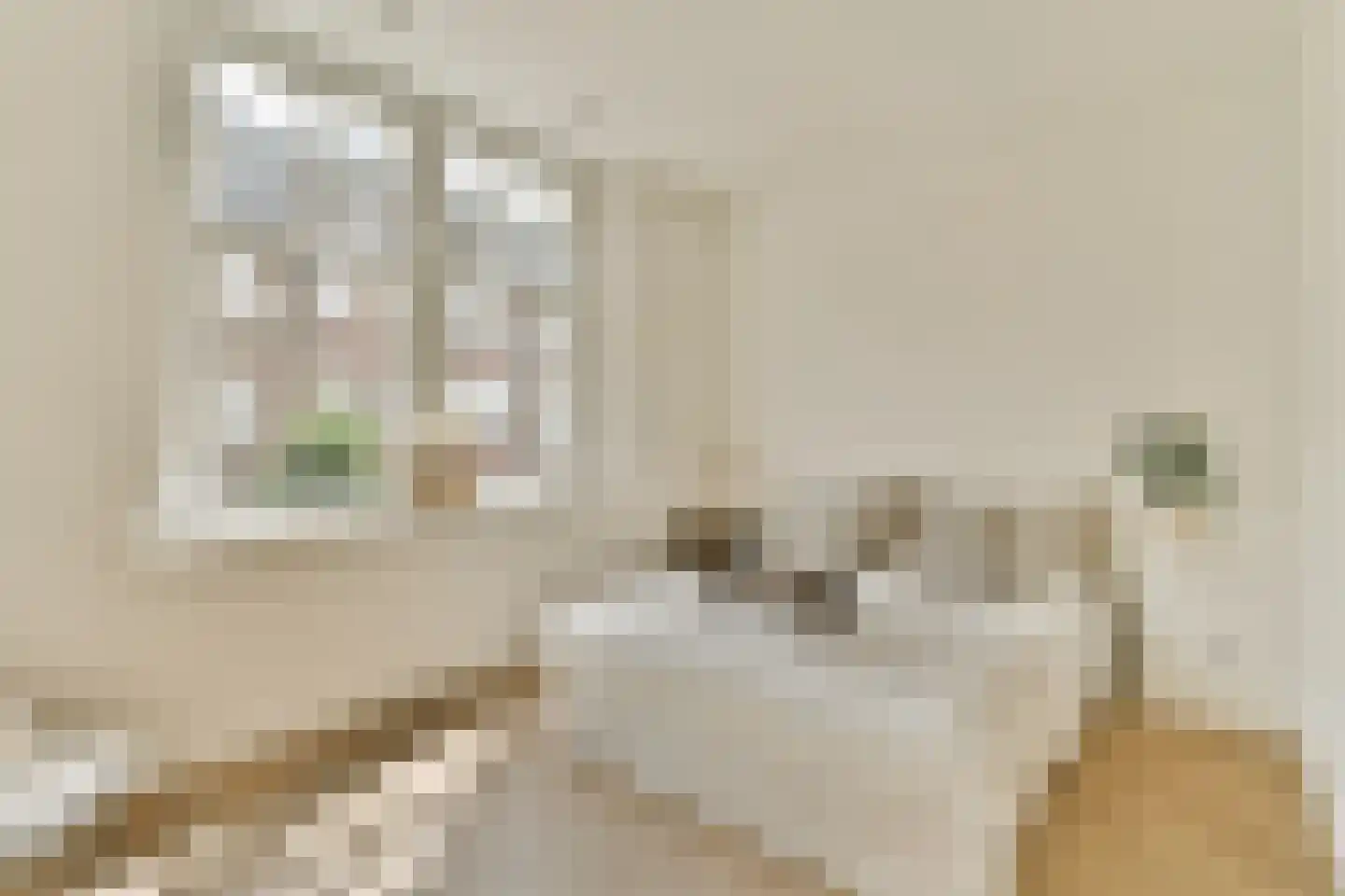 Bestevâerstraat 33 2 Amsterdam thumbnail 11
