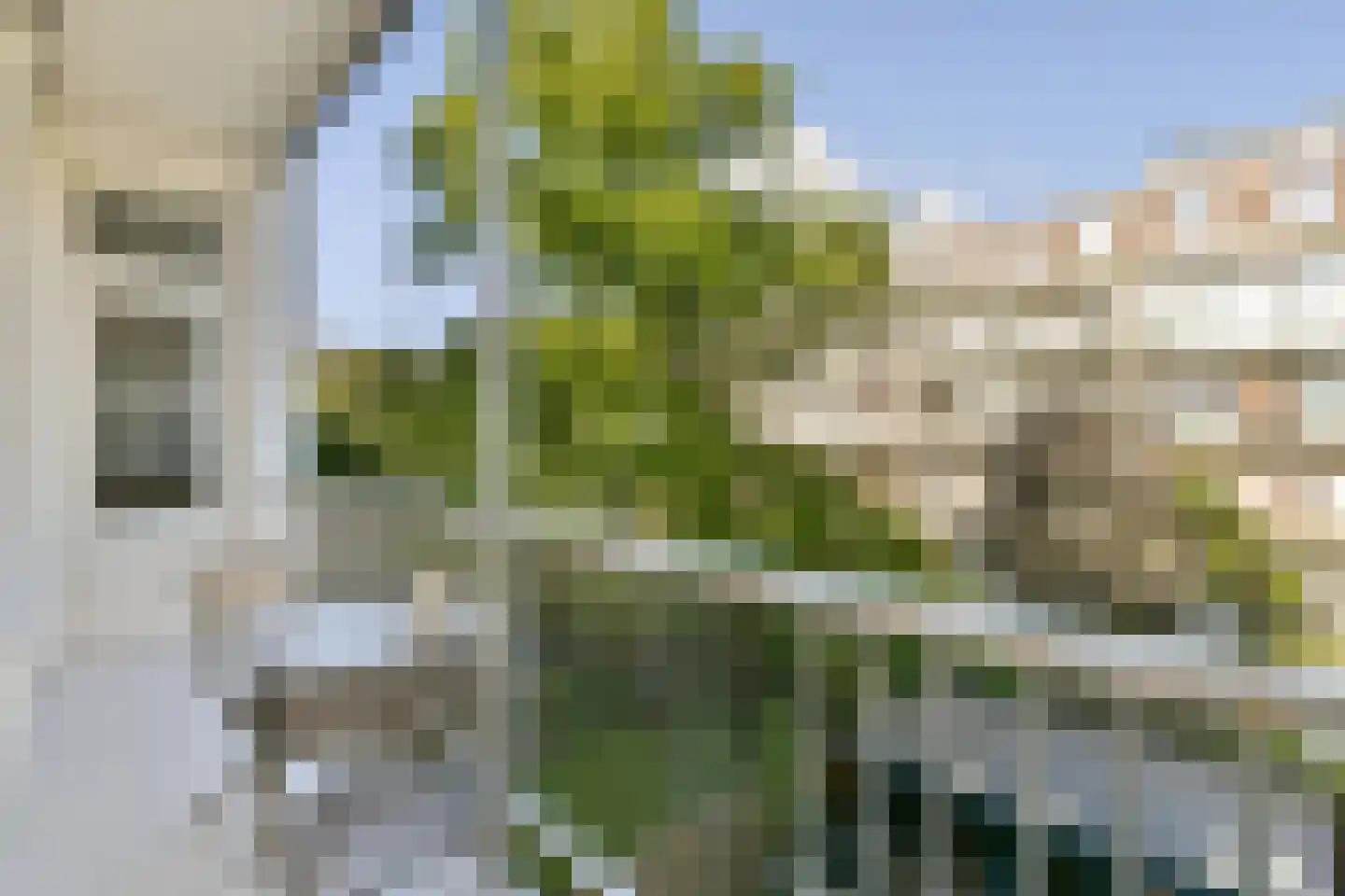 Bestevâerstraat 33 2 Amsterdam thumbnail 9