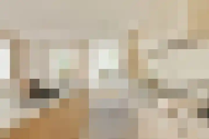 Bestevâerstraat 35 2 Amsterdam thumbnail 8