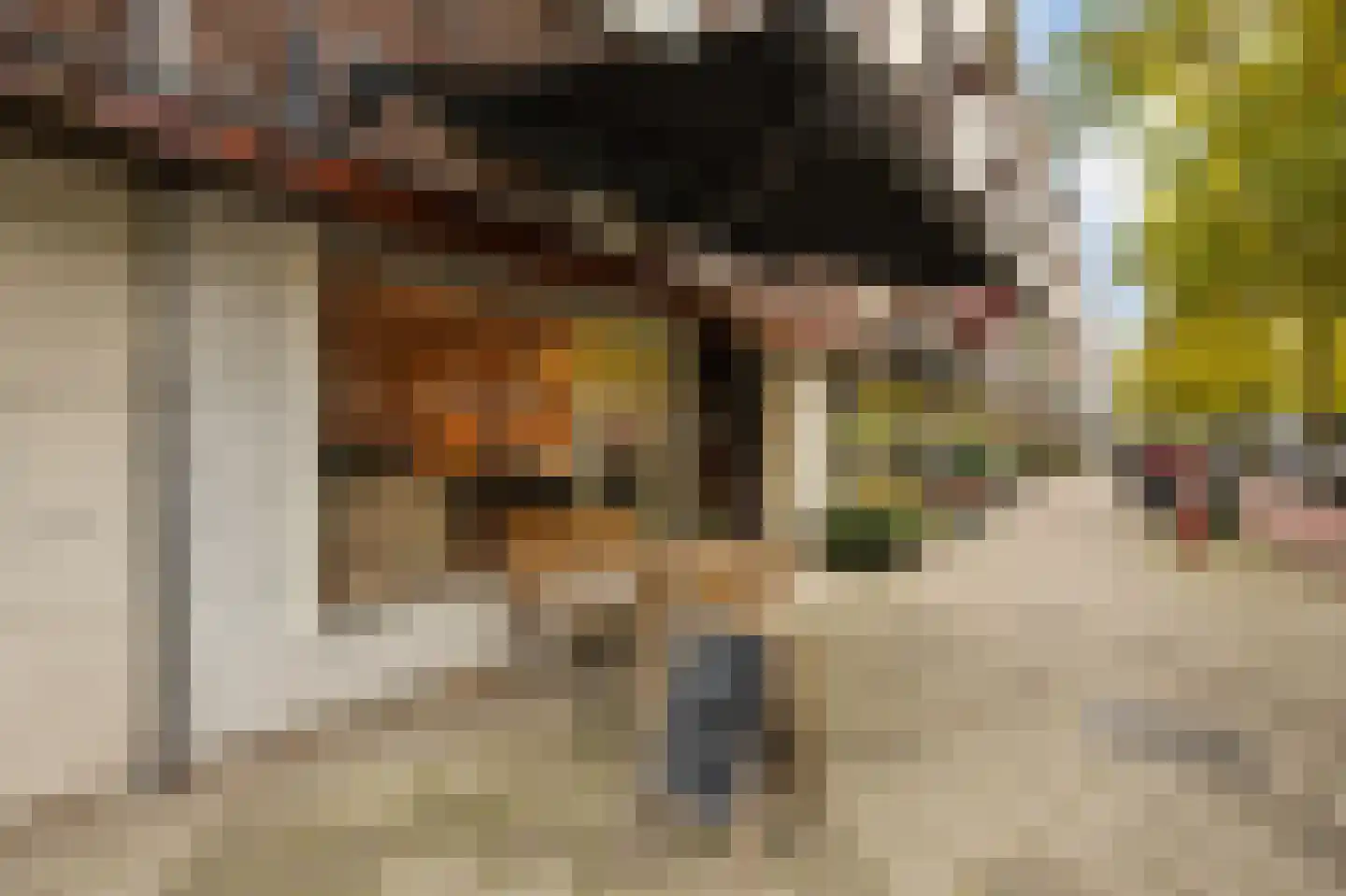 Bestevâerstraat 41 3 Amsterdam thumbnail 23