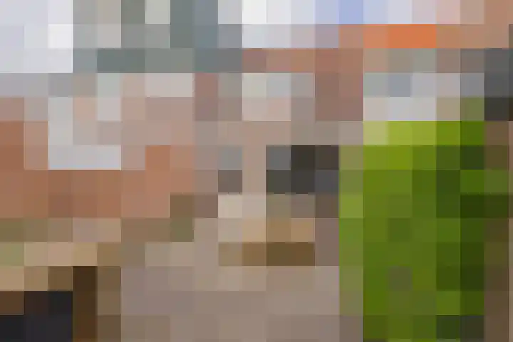 Bestevaerstraat 5 IJmuiden thumbnail 18
