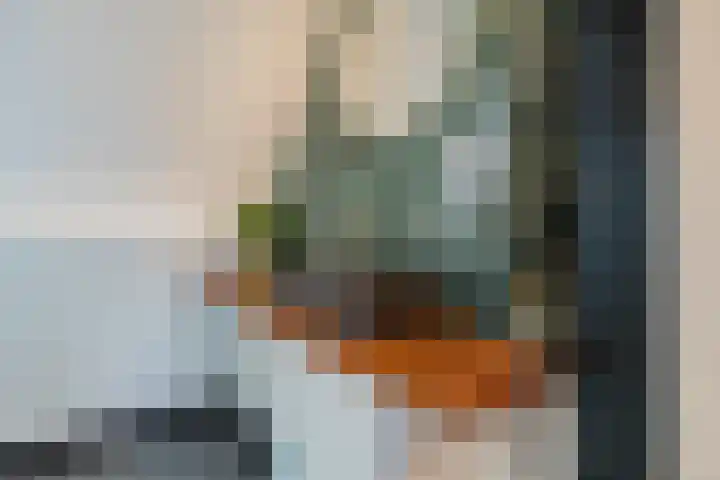 Bestevaerstraat 5 IJmuiden thumbnail 24