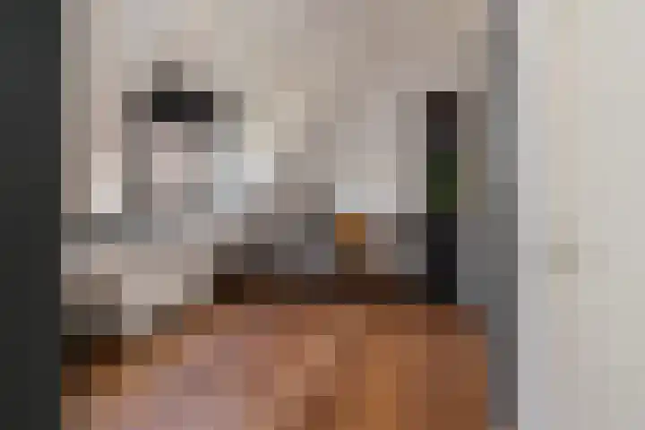 Bestevaerstraat 5 IJmuiden thumbnail 25